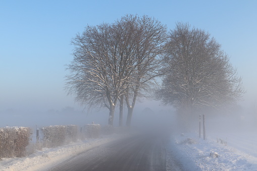 A few trees on both sides of a small country road, barely visible because of the mist and snow during sunrise on a cold winter day in the Netherlands.