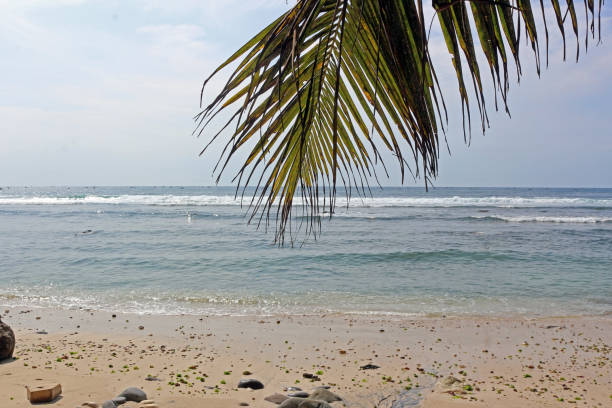 istock Beautiful view of rocky beach in Pacitan, East Java, Indonesia 1942160630