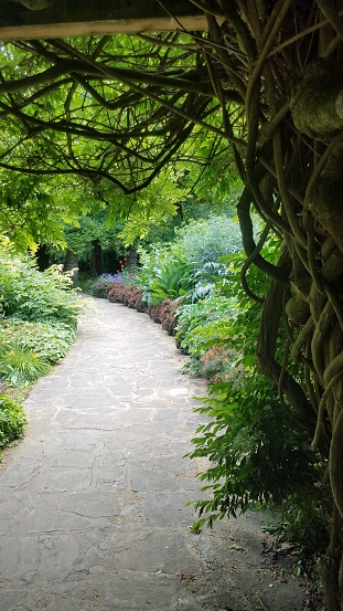 A serene stone path winds through lush vegetation and towering trees in a tranquil outdoor park, surrounded by vibrant shrubs and grass, creating a picturesque landscape garden
