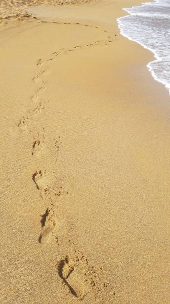 istock A person walking on a beach 1942183288
