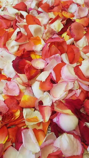 A stunning display of delicate peach and vibrant red petals, creating a romantic and alluring pile of flower fragments
