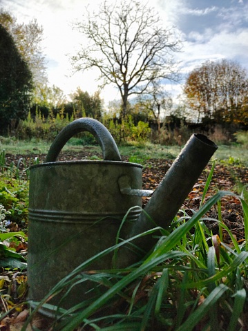 A vibrant blue watering can sits nestled in the lush green grass, beneath a brilliant blue sky, surrounded by towering trees and blooming fields of delicate plants