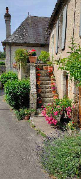 istock A stone stairs with potted plants on it 1942185147