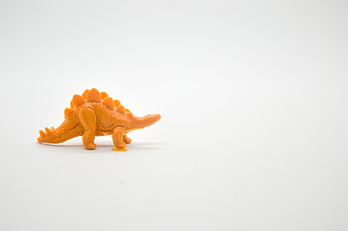 a toy dinosaur isolated on white background