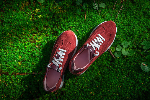 Suede sneakers in burgundy tones on a green moss in Sun Light. Stylish women's shoes.