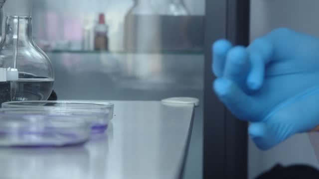 Male hands putting on blue protective gloves on the background of laboratory equipment