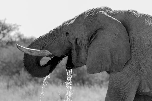 istock The beauty of Namibia 1942216092
