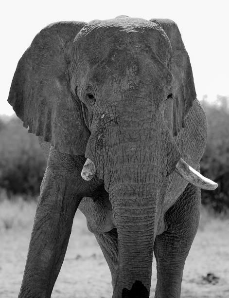 istock The beauty of Namibia 1942216093