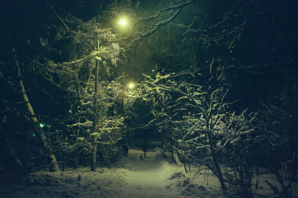 istock Winter in the city 1942216111