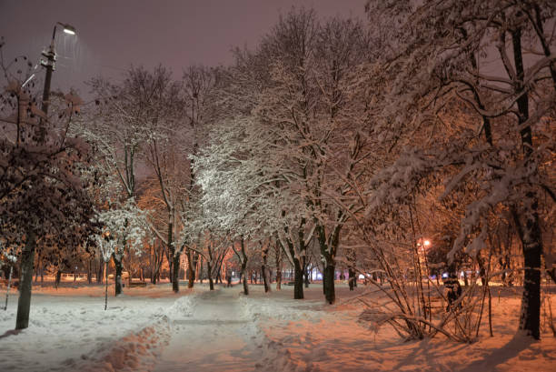 istock Winter in the city 1942217260