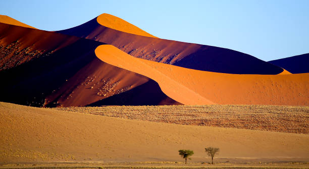 istock The beauty of Namibia 1942217824