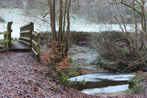 Footbridge over a frozen woodland river in winter