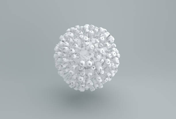 istock White Corona Virus Covid 19 on a Gray Studio Background. Front View. Minimal concept. Monochrome. 1942255473