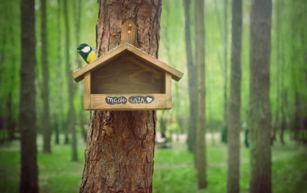 Handmade bird feeder on a pine in a city square