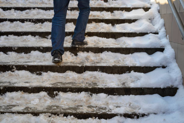 istock Winter in the city. 1942257086