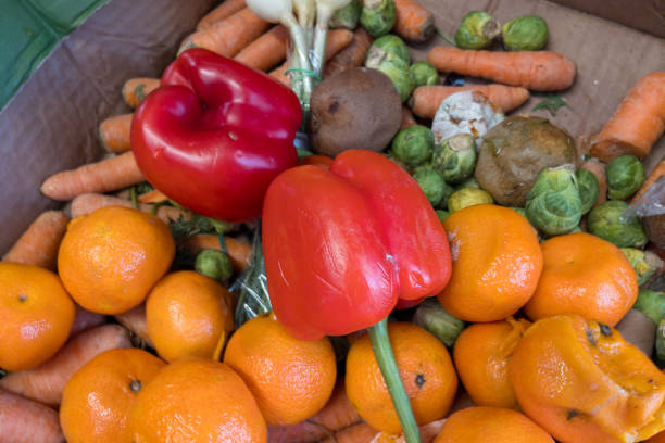 istock Dirty boxes with rotten vegetables and fruit. Garbage and food waste. Top view. 1942262558