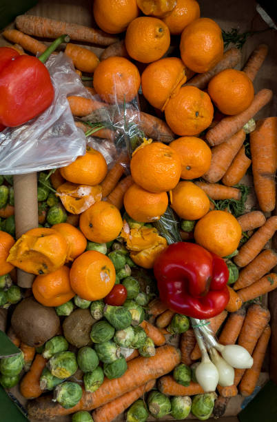 istock Dirty boxes with rotten vegetables and fruit. Garbage and food waste. Top view. 1942265454