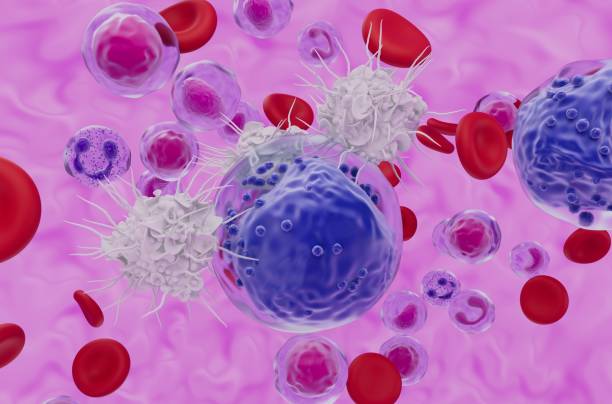 istock Dendritic cell recognise Acute myeloid leukaemia (AML) cell - closeup view 3d illustration 1942267458