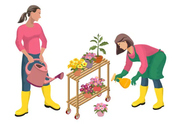 Vector illustration of A young women take care of plants. Isometric vector illustration.