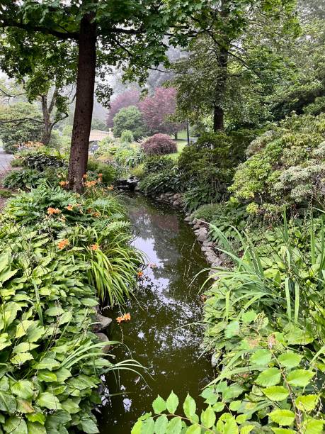 istock Halifax Public Garden 1942342734