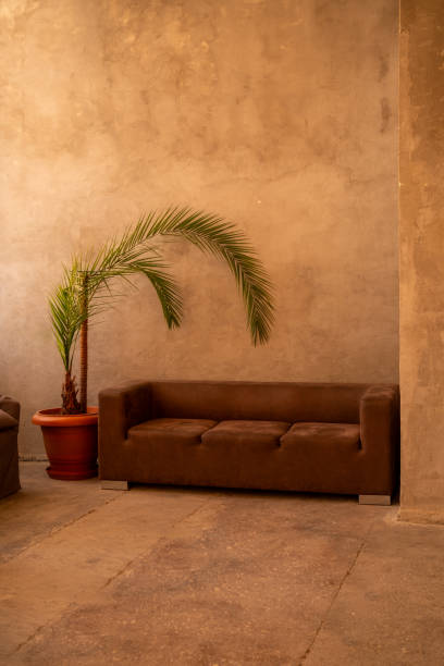 istock Design studio interior. Loft. Concrete floor. Sofa. Palm tree in a pot. 1942372090