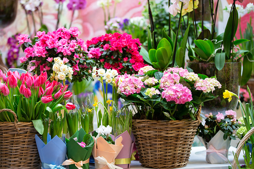 European Flower Shop
