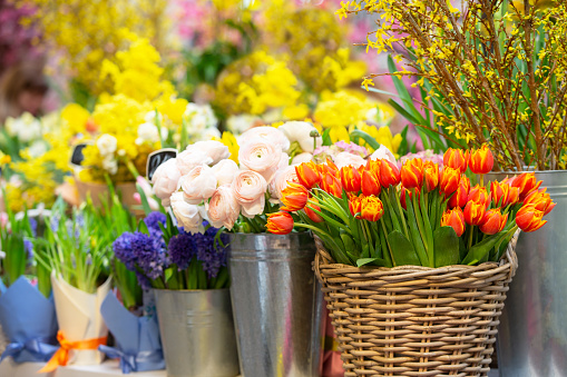 First spring flowers. Sale of flower bouquets for the holiday. Baskets with tulips and roses.
