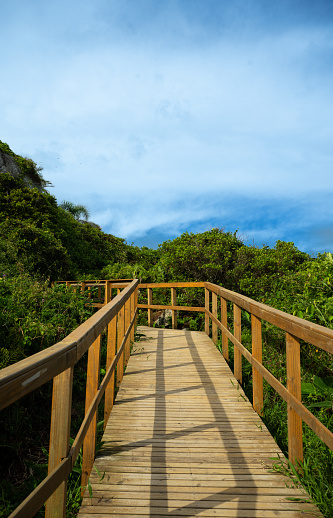 A wooden path leading to the beach, travel, summer, and beach concept