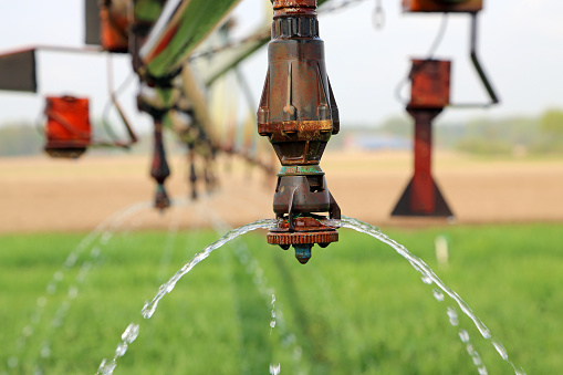 Water drips from the nozzles of an irrigation system