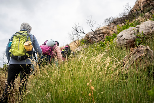 Rear view shot of group of senior female hikers walking up on mountain trail