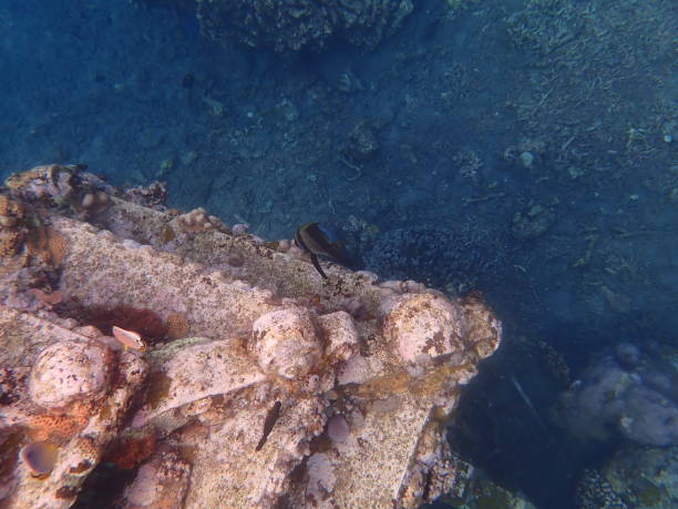 istock Underwater Temple in Jemeluk Beach 1942471819