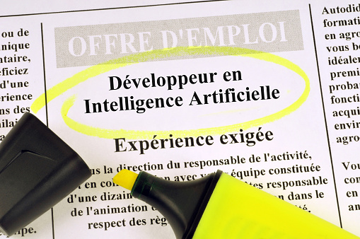French Artificial Intelligence Developer job offer concept