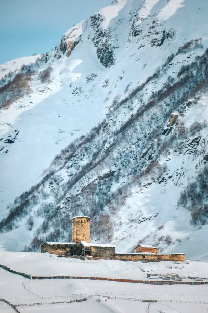 beautiful view snow-capped mountain landscape in georgia's ushguli region. - valley georgia river mountain 뉴스 사진 이미지