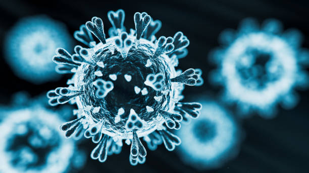 istock Disease X new pandemic pathogen virus 1942505749
