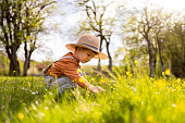 Boy in the grass picking flowers