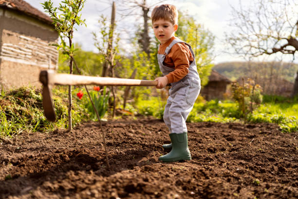 istock Little boy gardening 1942515173