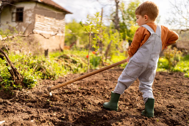 istock Little boy gardening 1942515695