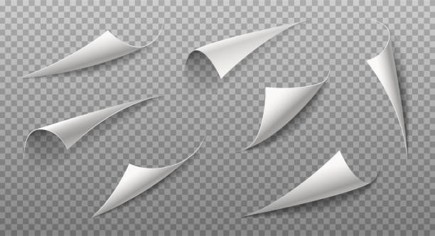 illustrations, cliparts, dessins animés et icônes de illustration vectorielle réaliste 3d. coins de page en papier enroulé sur fond transparent avec ombre - cheveux frisés