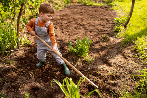 Little boy gardening
