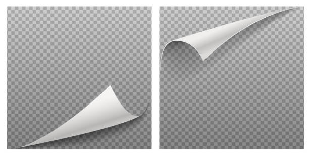 3d realistic vector illustration. curled paper page corners on transparent background with shadow - ohraničení složení stock ilustrace