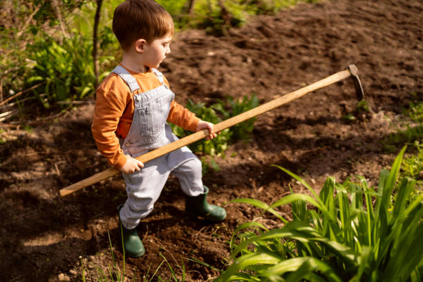 istock Little boy gardening 1942518328