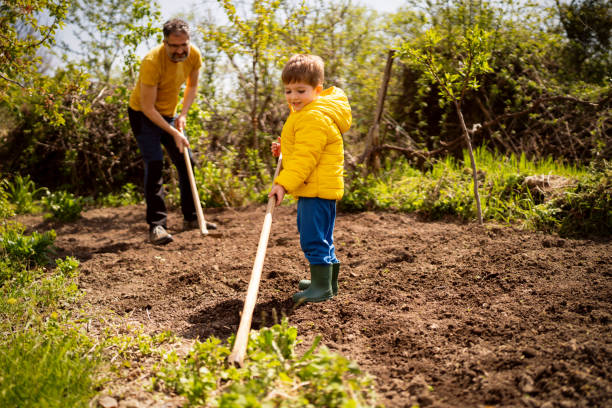 istock Little boy gardening with his father 1942518330