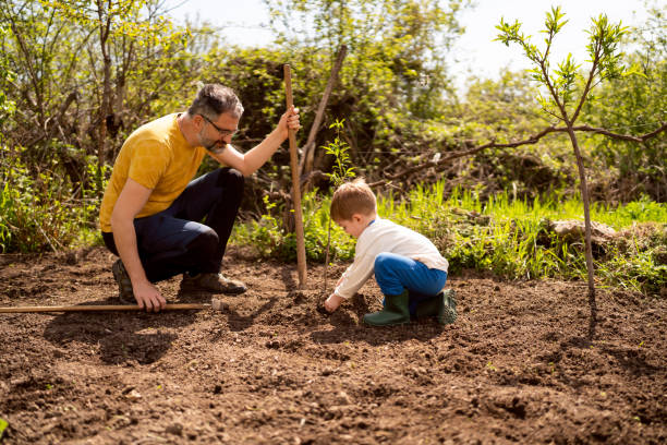 istock Little boy gardening with his father 1942519903