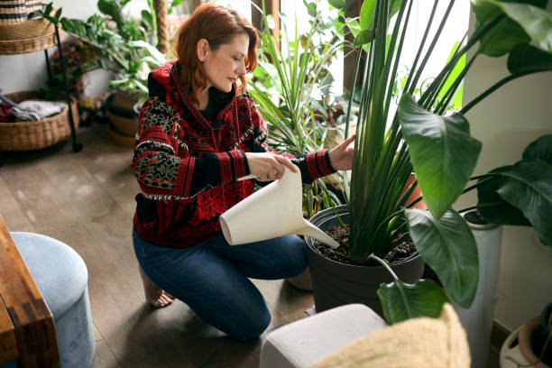 istock Woman watering plants 1942525238