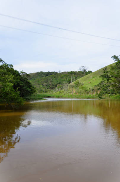 istock A pond with brown water in the countryside 1942554294