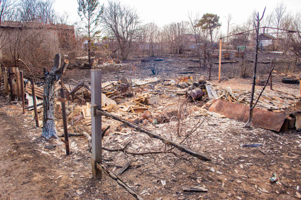 istock the remains of an urban-type settlement after a strong fire that completely destroyed a large area beyond restoration 1942558024