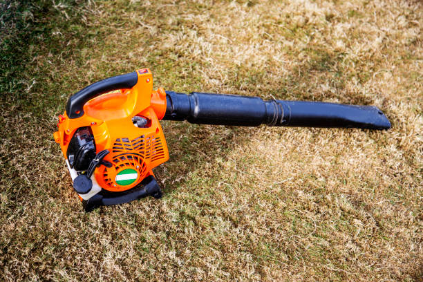 istock Gasoline air blower leaf snow 1942564365