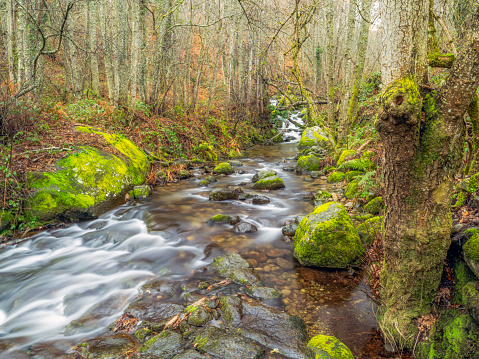 Mountain stream