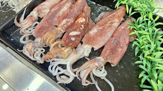 Fresh raw squids for selling in a plate in a fish market in Banjar City, Indonesia.