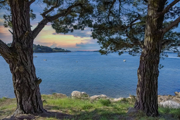 Brittany, view of the Morbihan gulf, the Ile aux Moines, in spring